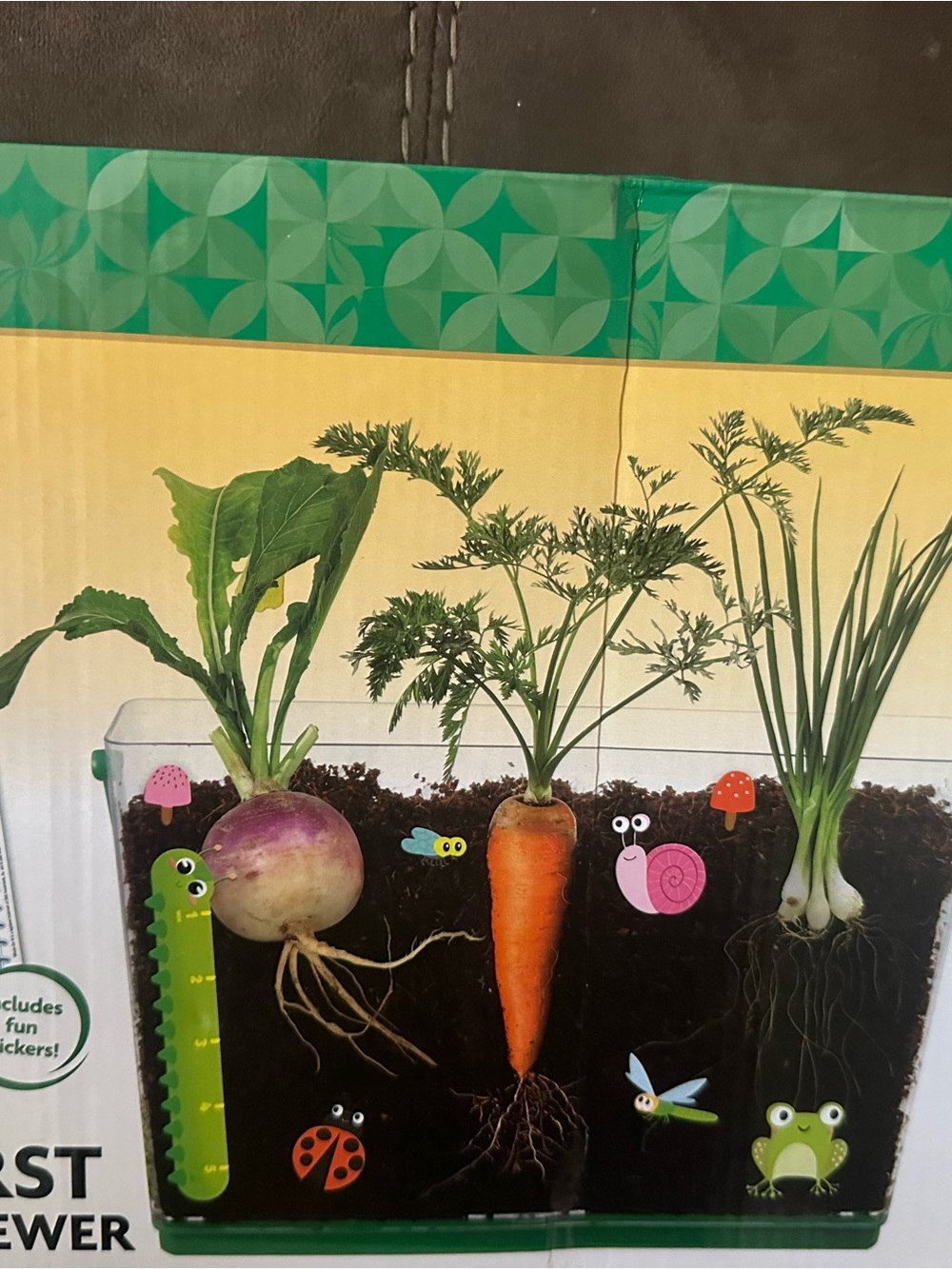 Kids Indoor Grow Kit with Colorful Root Viewer - Green Accent